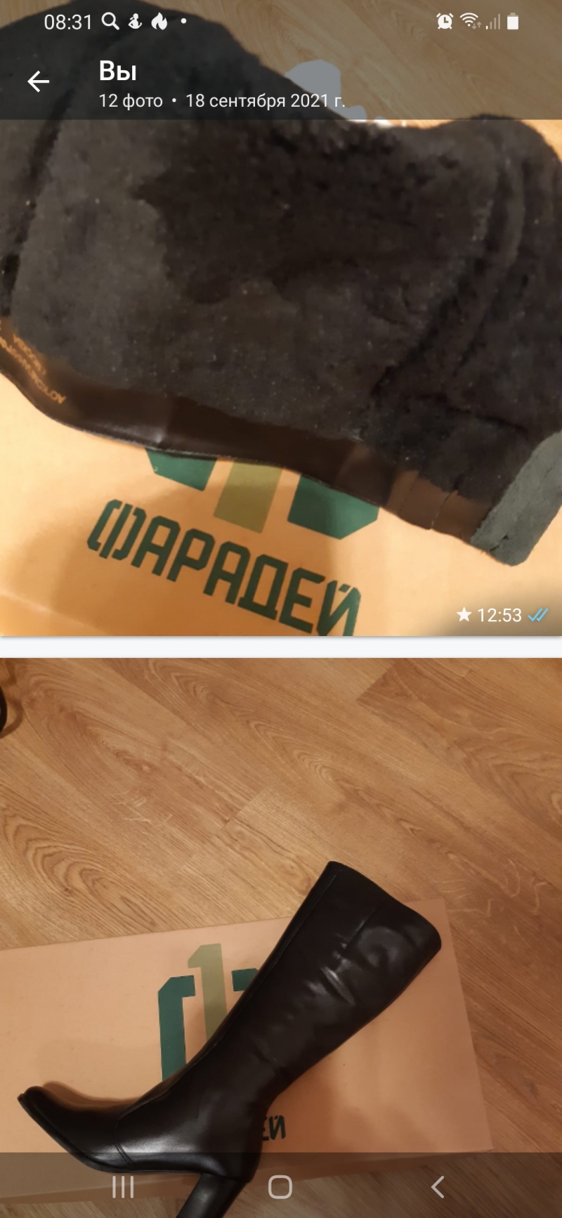 Продам сапоги