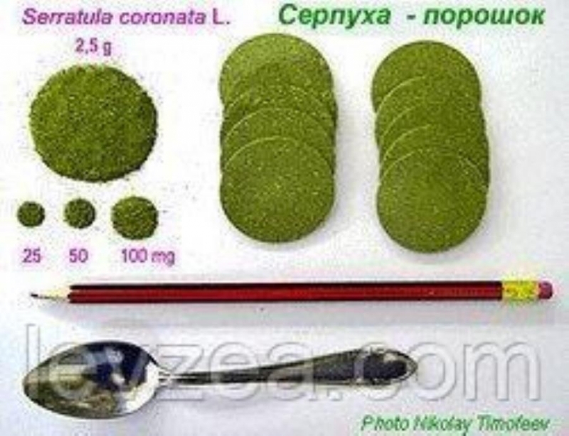 Серпуха-порошок 500 гр 23650 мг экдистерона