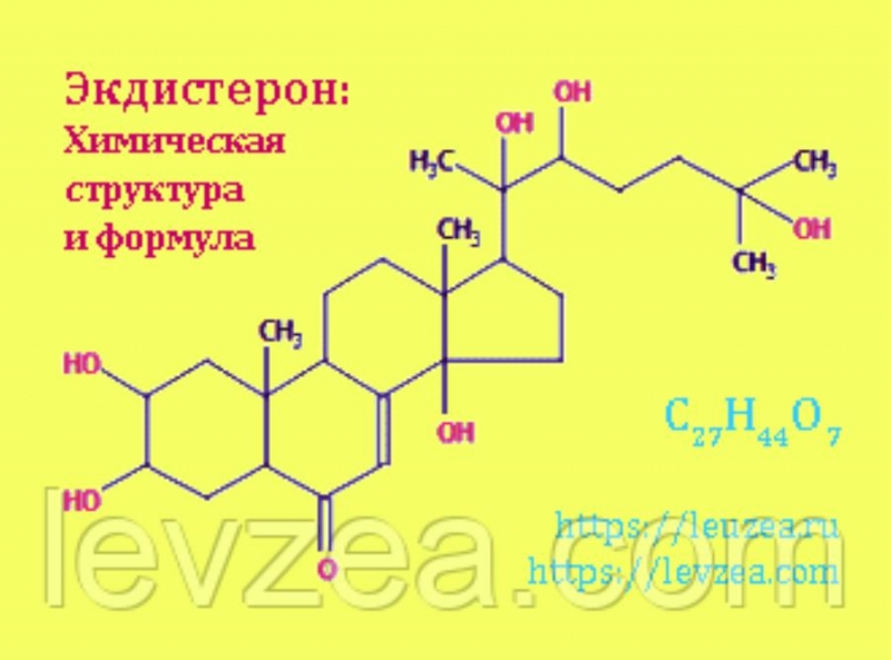 Cерпyхa-пopошoк 20 гр coдepжит 946 мг экдиcтepoнa