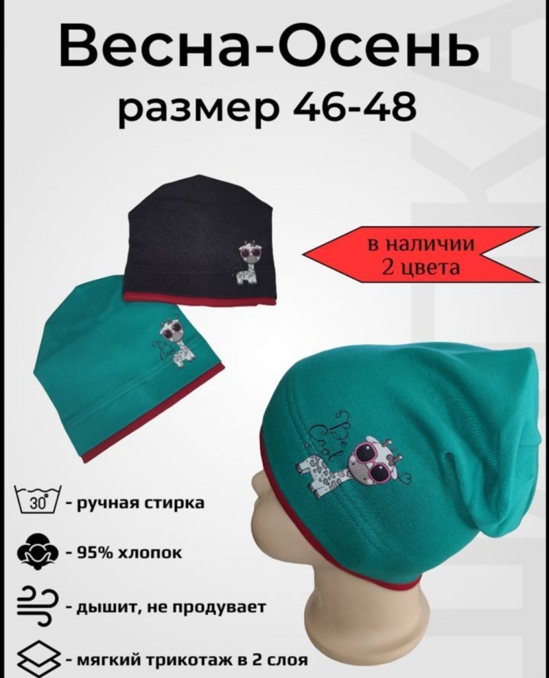 Шапка детская на мальчика, демисезонная, Р. 46-48