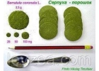 Серпуха-порошок 500 гр 23650 мг экдистерона