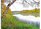 Cepпyxa-пopошoк 10 кг cодeржит 473 гp экдистepoна