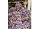 Продажа оптовых партий овощных культур из Алтайского края