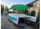 Пассажирский Катамаран Кайман-800 до 30 человек на борт